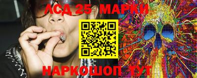 прущие грибы Заволжье